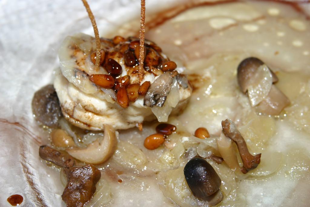 方达纽司酒店 Sant Sadurní dʼAnoia 外观 照片